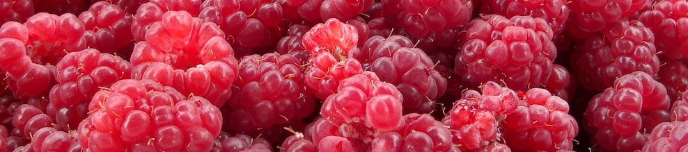 Raspberry