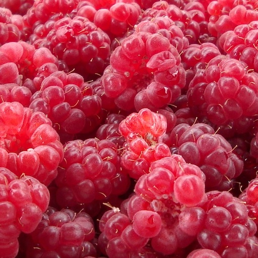 Raspberry