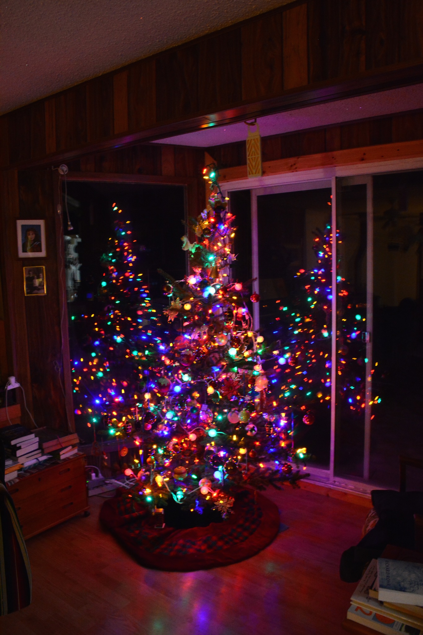 Decorated Spruce Christmas Tree at Night with window reflections