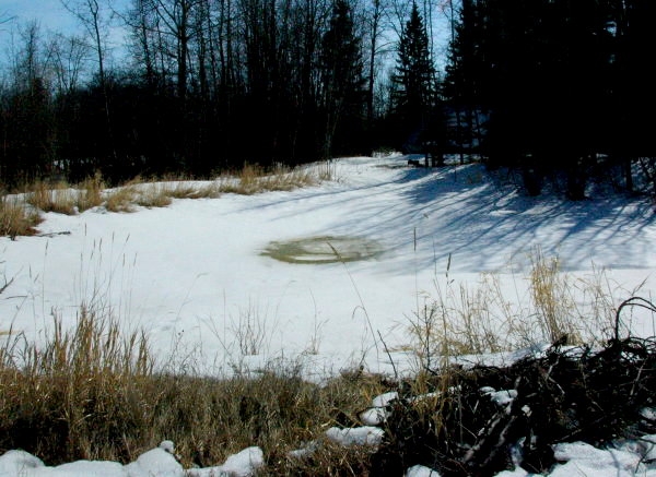 Pond at beginning of thaw